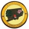 Connecticut Pin CT State Emblem Hat Lapel Pin